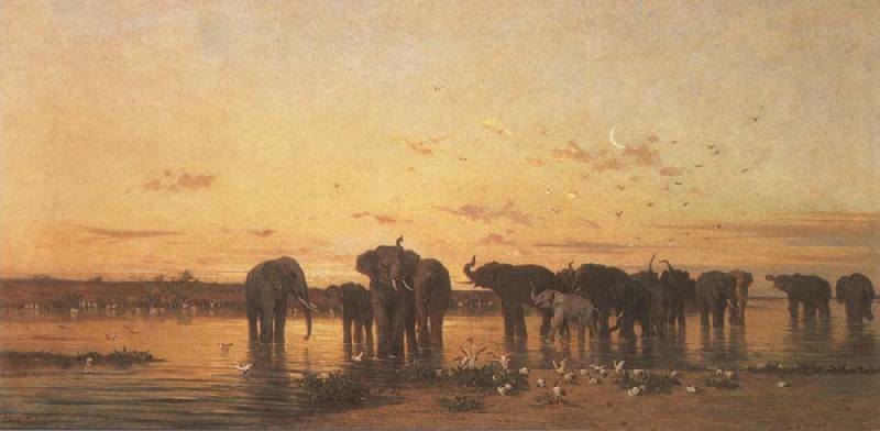 Charles Tournemine Elephants at Sunset oil painting picture